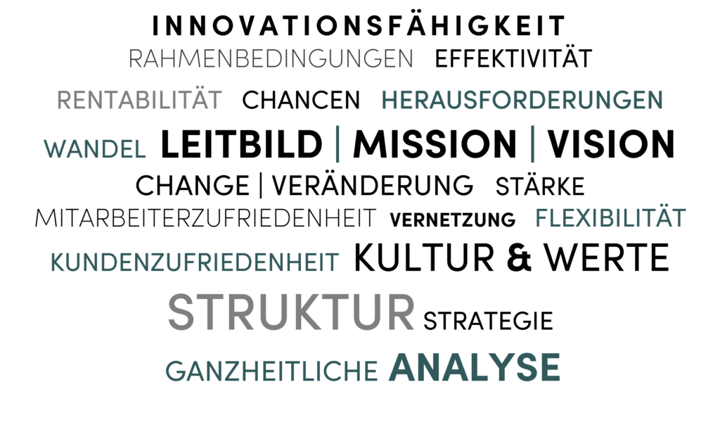 Organisationsentwicklung Wordcloud